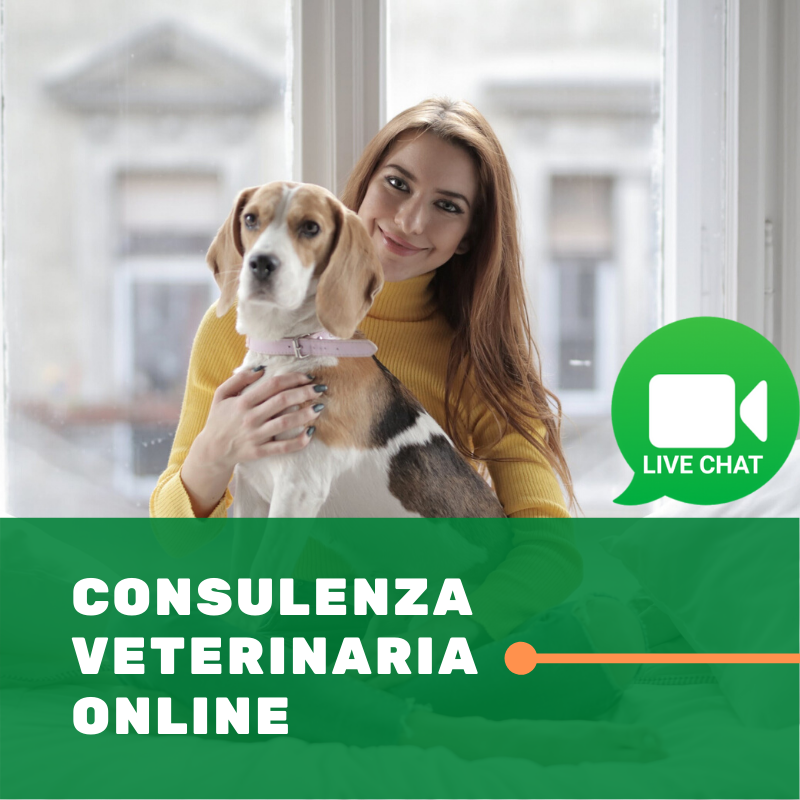 Prenota video consulto