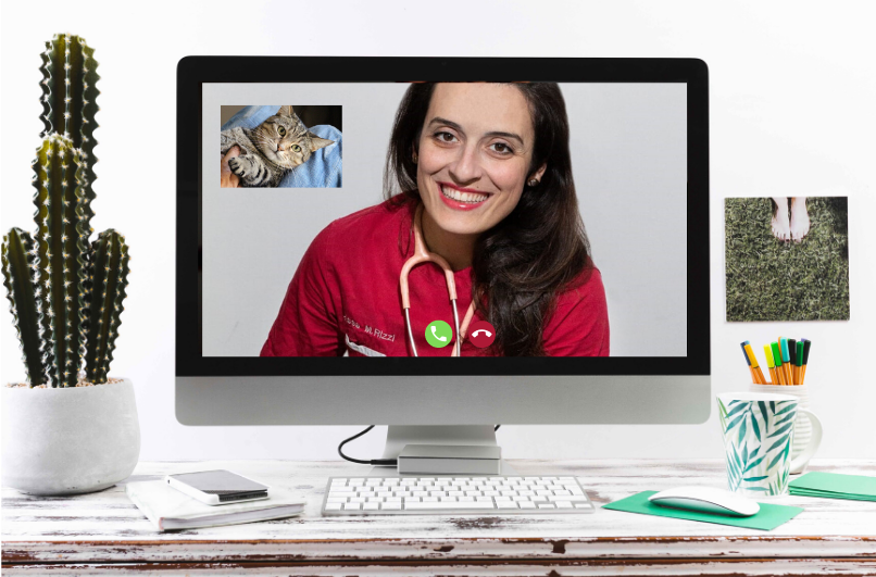 Veterinario Online